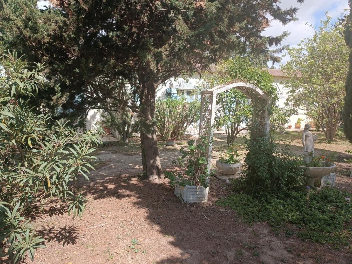 Mas Des Pins Bed & Breakfast Saint-Cyprien  Exterior photo