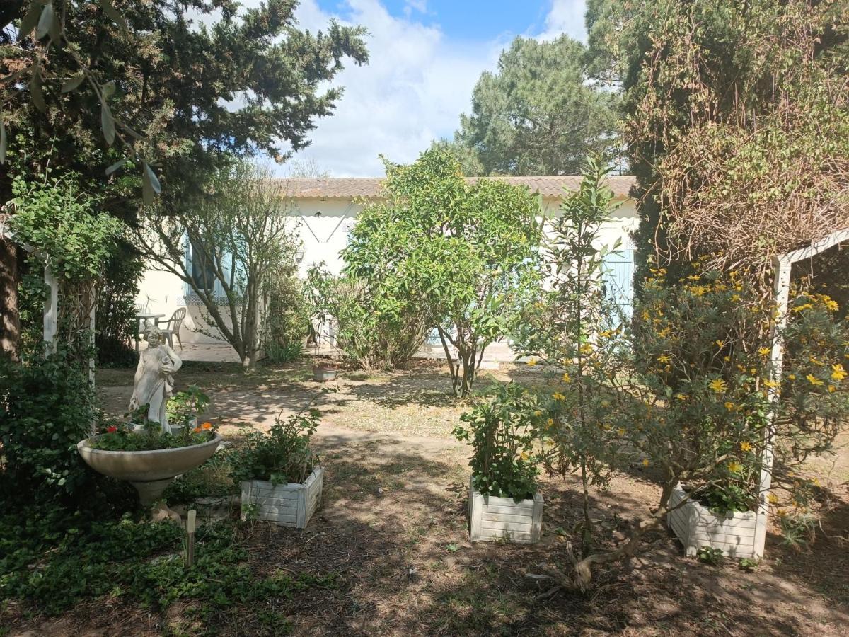 Mas Des Pins Bed & Breakfast Saint-Cyprien  Exterior photo